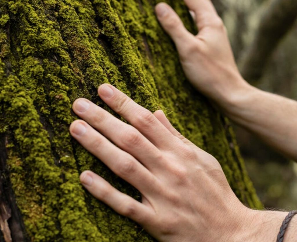 retraite Villa Bauhinia Saint Tro^pez