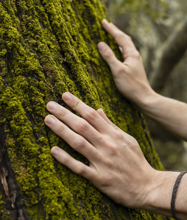 Sylvothérapie | Villa Bauhinia