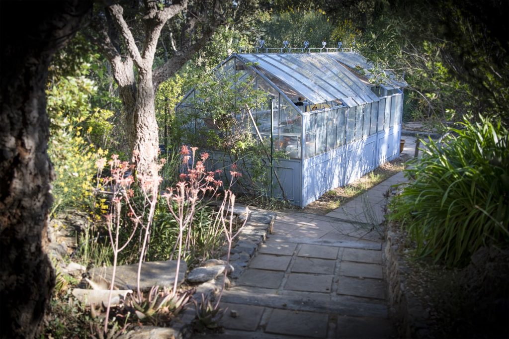 Villa Bauhinia | Location Golfe de St-Tropez